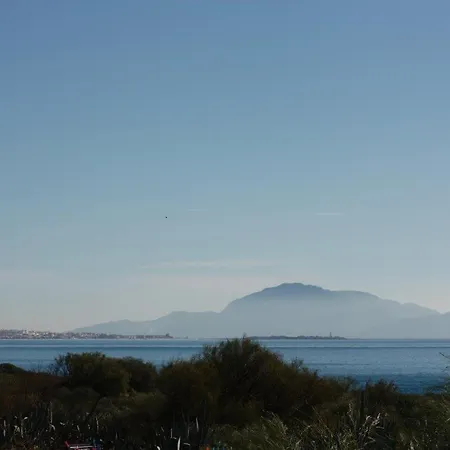 El Abejaruco *