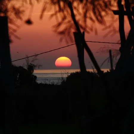 El Abejaruco Casa de Férias